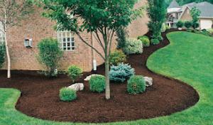 Klehr Septic Services