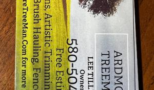 Tree man, Tree Service