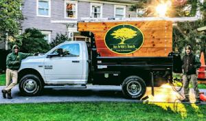 An Artist’s Touch Tree & Shrub