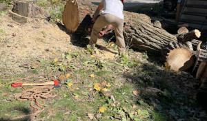 Liebermann Tree Service