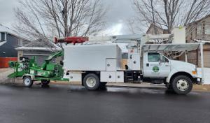 Neighborhood Arbor Care