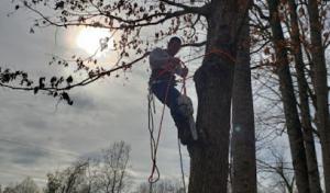 AAA Action Septic Service