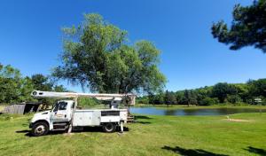 Lynn Randolph Tree&Lawncare