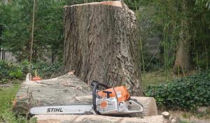 Chop & Chip Tree Service