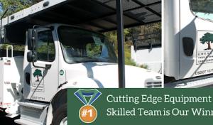 Emerald Tree & Shrub Care Company