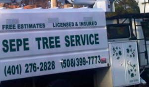 Sepe Tree Service