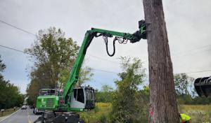 Amstutz Tree Service