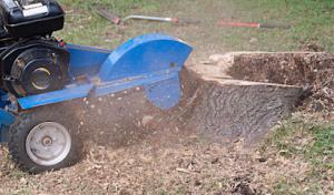 Summerall's Environmental