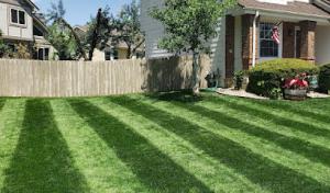 Deltona Septic Services