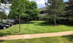 Meyer Septic Service