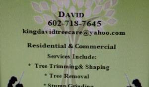 King David Tree Care