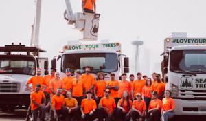 Seattle Tree Care