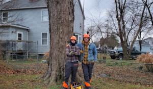 A-Grade Tree Experts