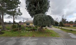 Harold's Tree Services