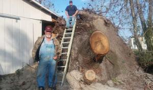 On Time Stumps & Outdoors