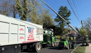 USA Pro Tree Service