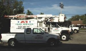 A1 Tree Services