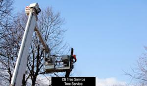 Supeck Septic Services