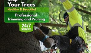 Monkeyman's Tree Service