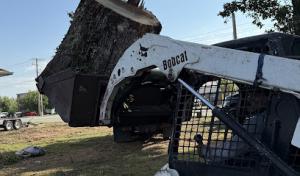 C & G Tree Service