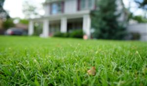 Willard's Septic Solutions