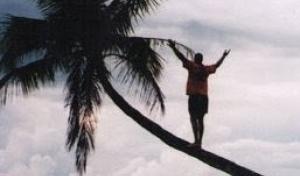 Ponderosa Tree Service