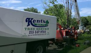 Kents Tree Service