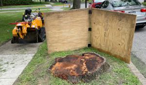 Florida Septic Services