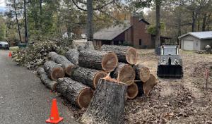 Top Notch Tree Service