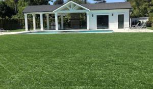 Green Essence Tree & Landscape