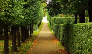 Infinity Tree & Outdoor Services