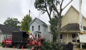 Tree Fellers Tree Care