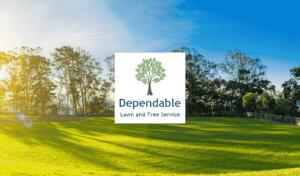 Dependable Lawn & Tree Service