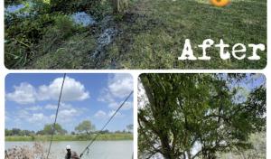 Top Notch Tree Services Rgv