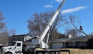 Tree Pro's Tree Service & Landscaping