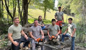 Magnolia Tree Service