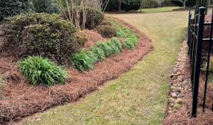 Gonzalez landscaping