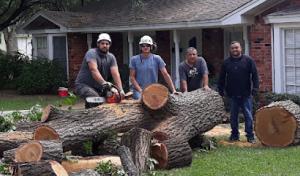 Alvarez Tree Service