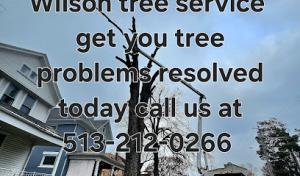 Wilson tree service