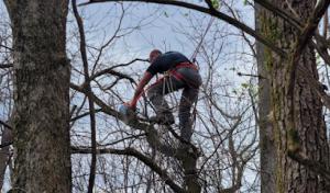 K&G Tree Service