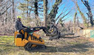 United 1 Tree Services & Landscaping