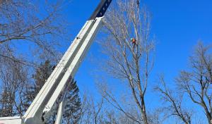 Carr's Tree Service
