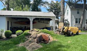 Clark Brothers Stump Removal