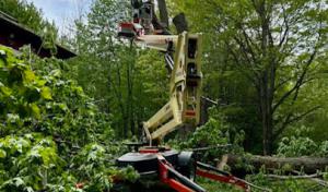 Legacy Tree Service
