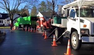 Charles River Tree Company