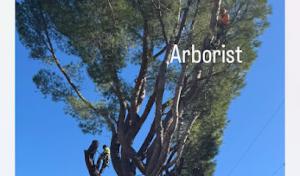 Erik's Tree Service & Brush Clearance