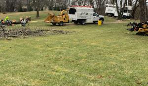 JBS Professional Tree Care