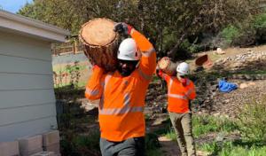 Jimenez Tree Service