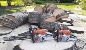 Swell Emergency Tree Removal Service