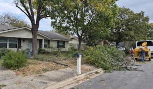 Local Oaks Tree Services